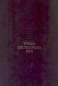 Wielka encyklopedia pwn t.25